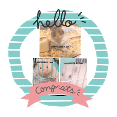 yukari_20200711223951