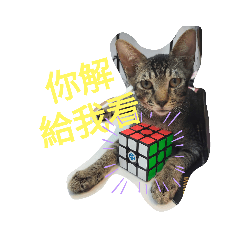 芝麻花生表情包1