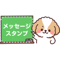 fluffy shih tzu 3set message