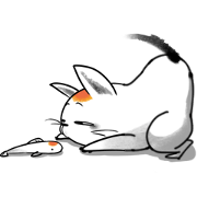 Koi cat