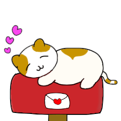 Mailbox cat