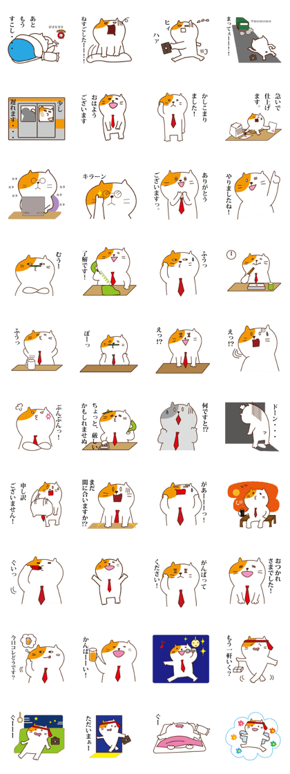 chubby cat "pocha-neco" at work