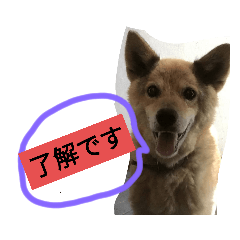 kaito_20200711222857