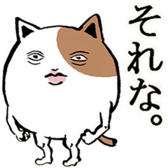 Cat of Tama -chan