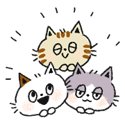 Three cats and your reply