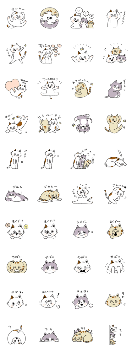 Three cats and your reply