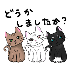 Brown, white and black cats Sticker