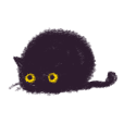Little Black Cat Momo.