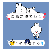 rabbit is enjoying 8