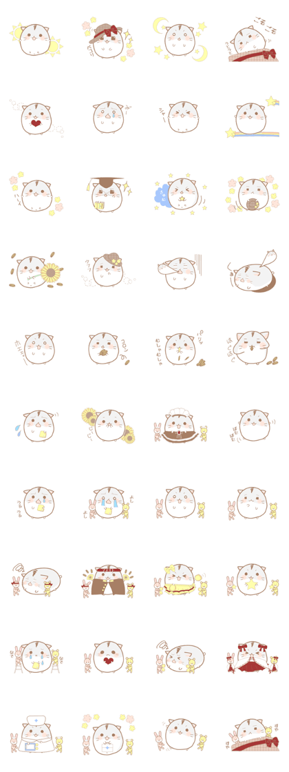 Hamster assortment