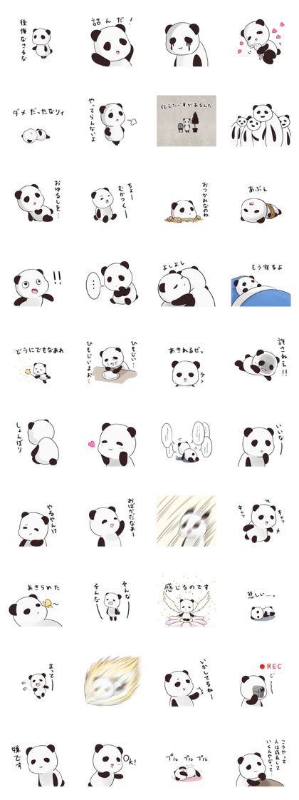 PANDA SENPAI!! PANDA SENPAI!!