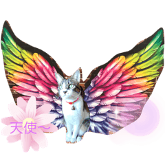 Haruna_20200712115800