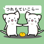 Wakayama Prefecture of Japan