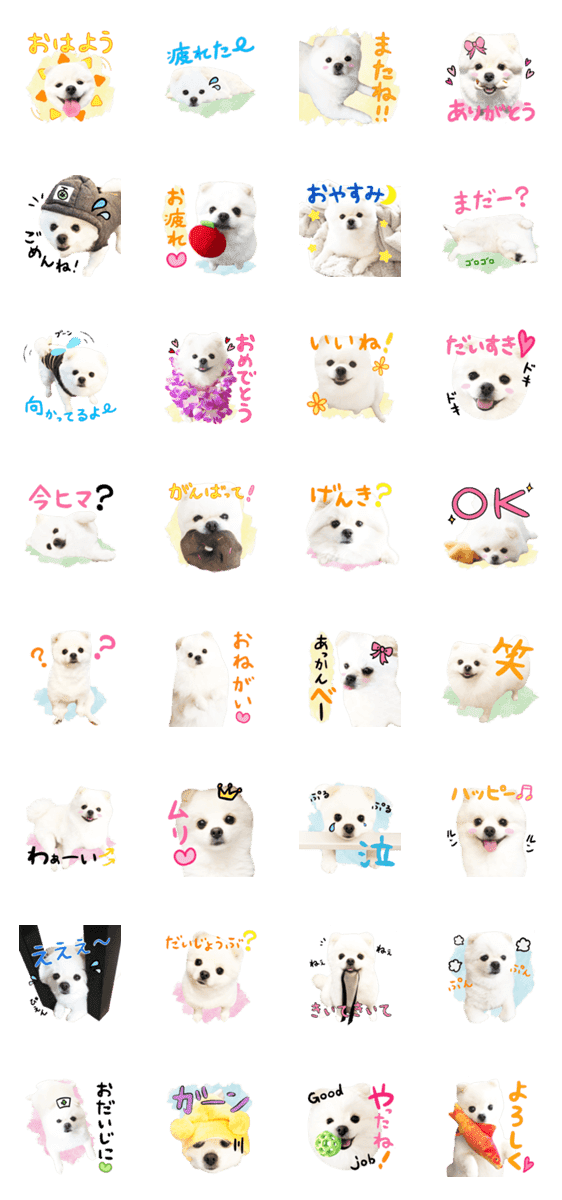 可愛い垂れ耳白ポメロンちゃん Lineクリエイターズスタンプ Stamplist 可愛い垂れ耳白ポメロンちゃん Lineクリエイターズスタンプ Stamplist