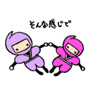Ninja Jr. Part 2