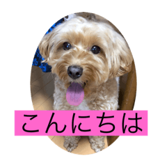 chie_20200712154053