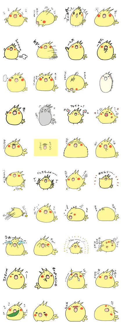 A little extra padding cockatiel