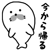 cute seals(AZARASHI)