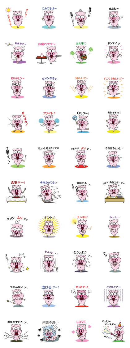 Piggy Tom for daily use