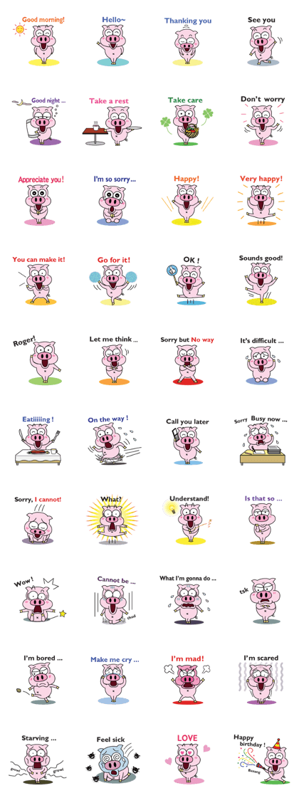 Piggy Ton-kichi for daily use