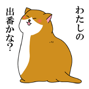 Kitty living freely