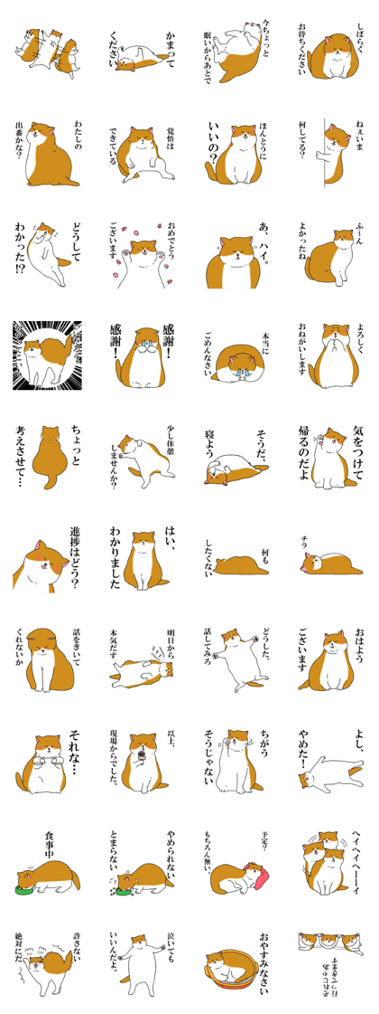 Kitty living freely