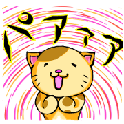 Your favorite cat