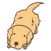 Golden Retriever...I think so.