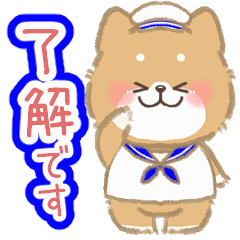 Moving Mofumofu Shiba Inu summer