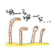 zoooooooo