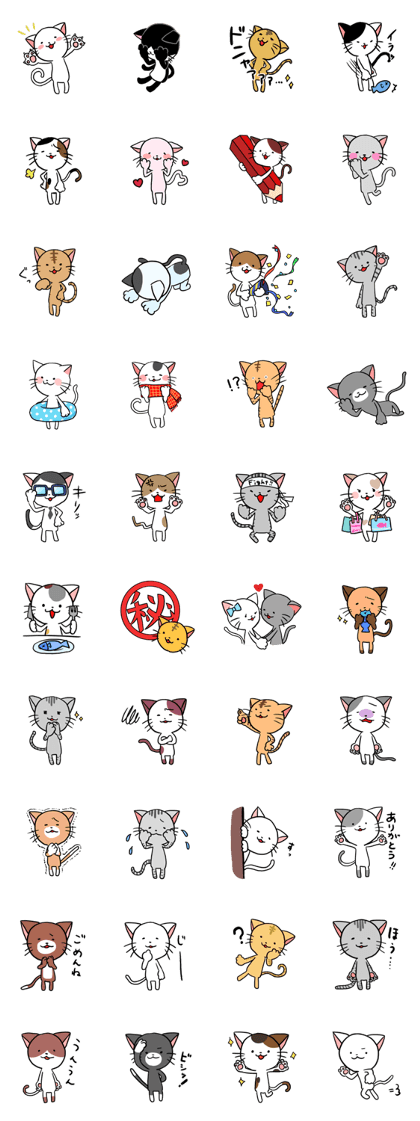Cats in my life