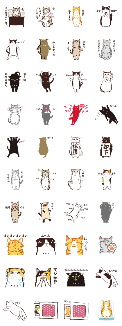 daily life of YORIMICHI cat