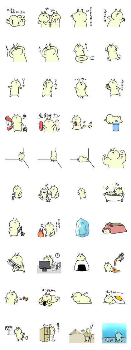 Day-to-day of rabbit4