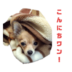 Ayano_20200712194147