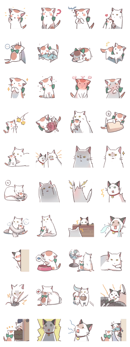 Cats garden