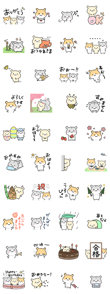 Spring HAMU