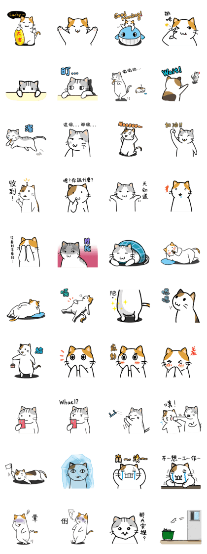 San-Gi cats 2