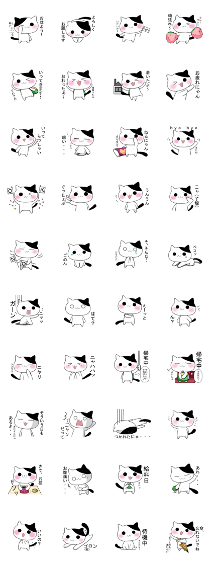 Nyanchi of black-and-white cat