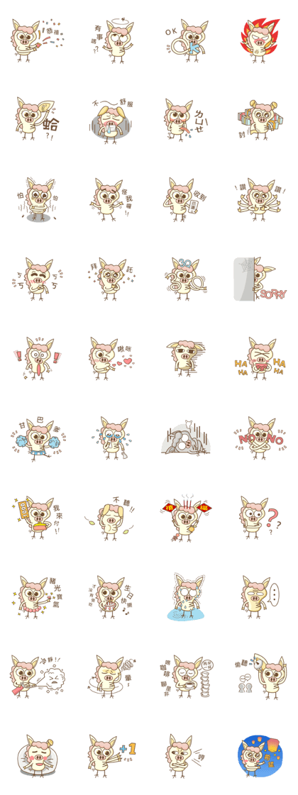 Pig Machi is coming