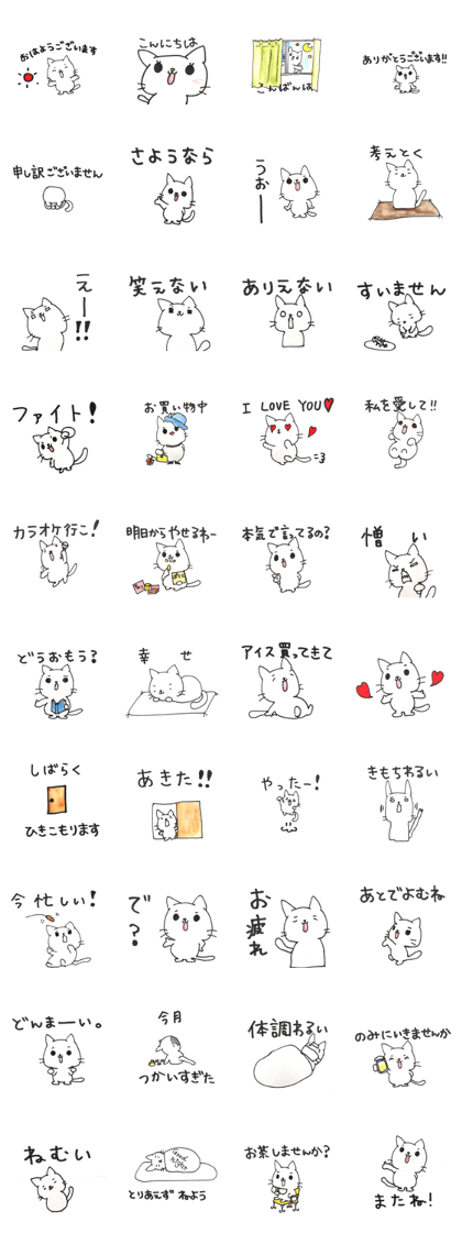 pretty & lovely cat