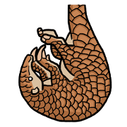 Pangolins