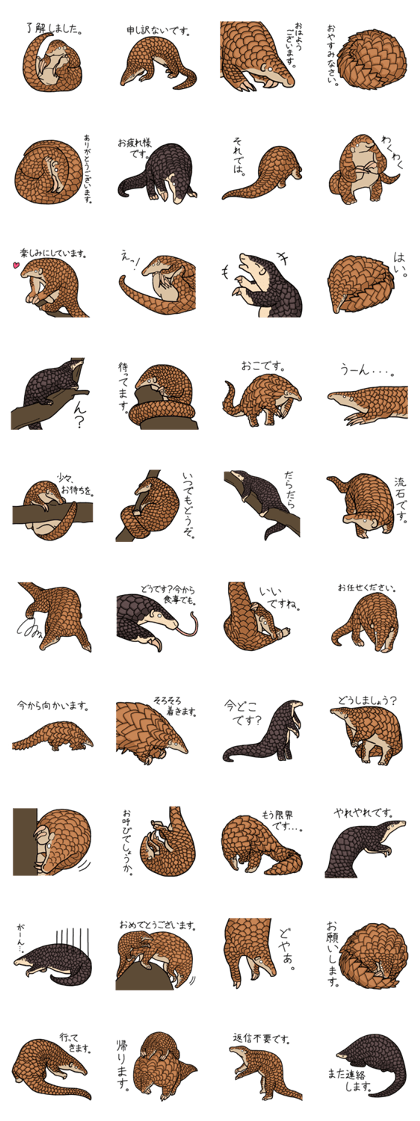 Pangolins