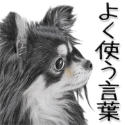 Real dog2