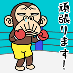 Funny Monkey  13