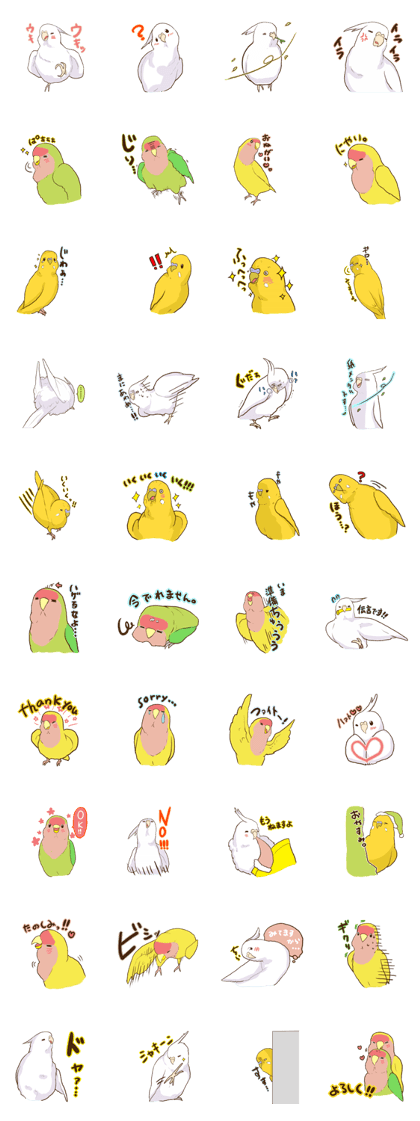 true parrots.1