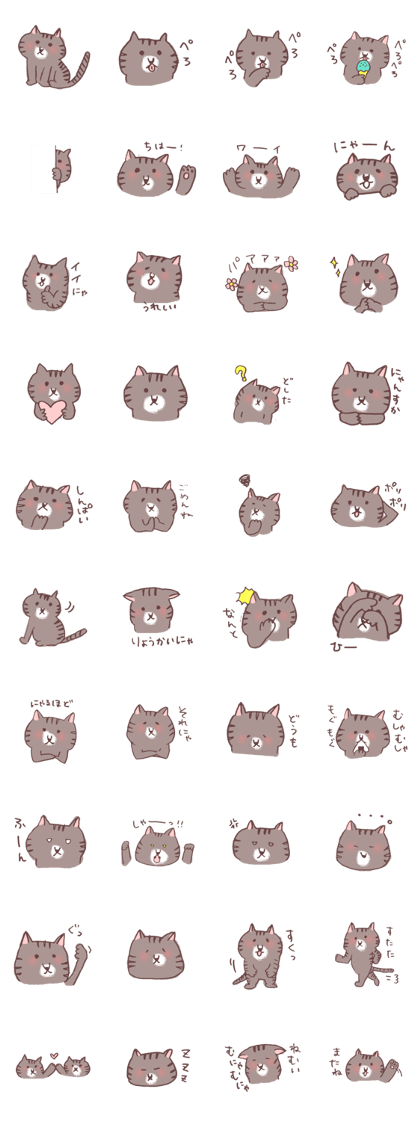 brown tabby cat "Kijineko-chan"
