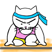 Sports cat 1