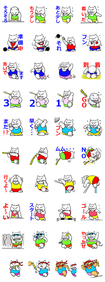 Sports cat 1