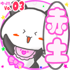 Panda's name sticker MY130720N04