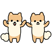 Little Pomeranian